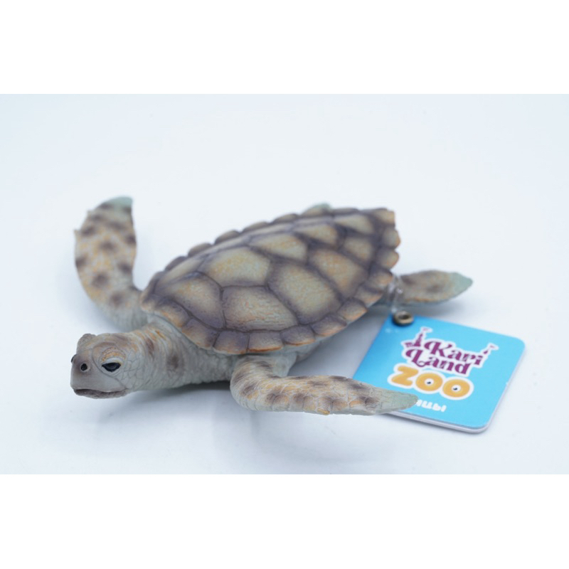 Sea Turtle Kura Kura Laut Penyu Mainan Figure Binatang Miniature Hewan Animal Figurine Pajangan Acti