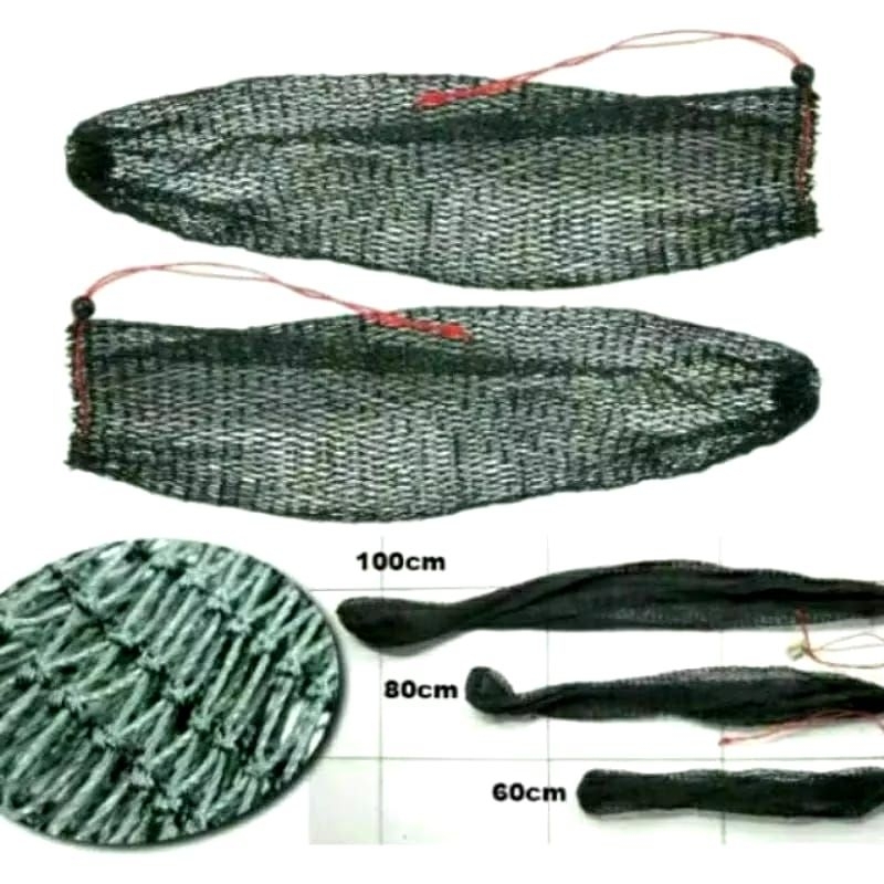 Koja Korang Tempat Ikan