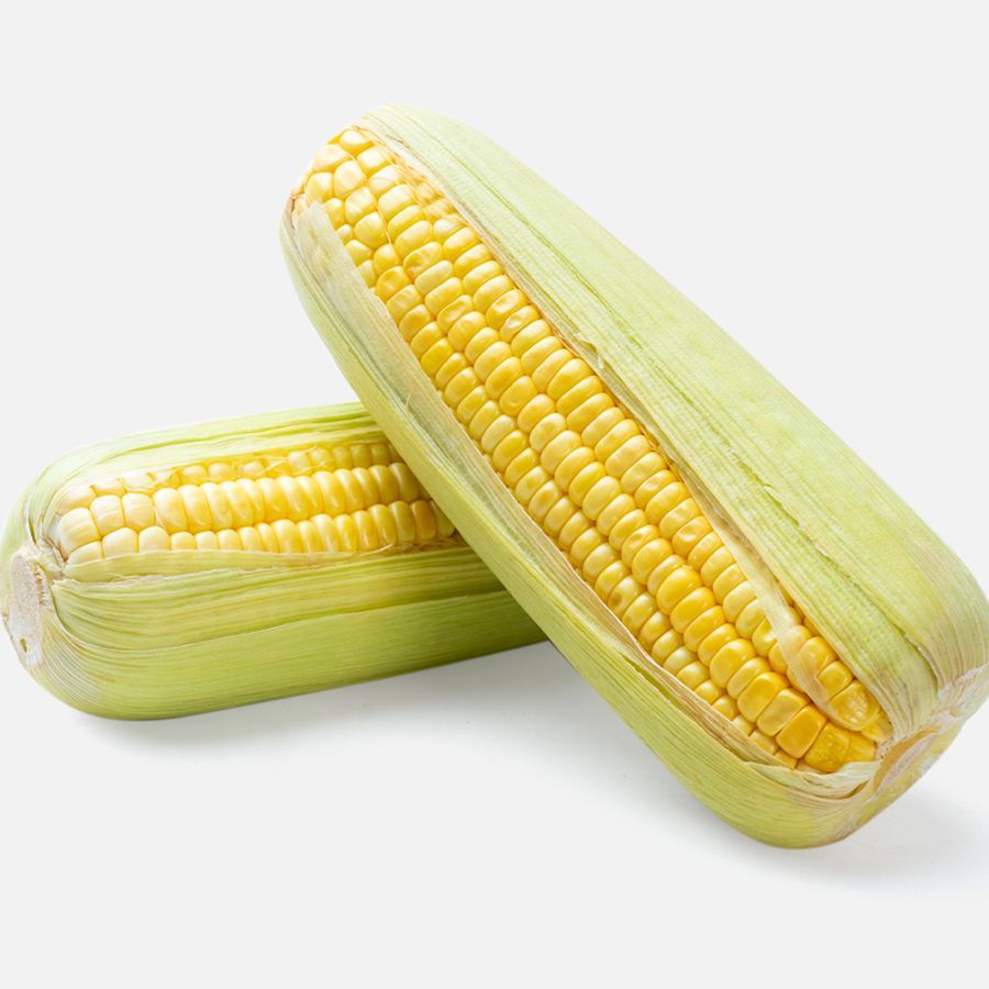 

Jagung