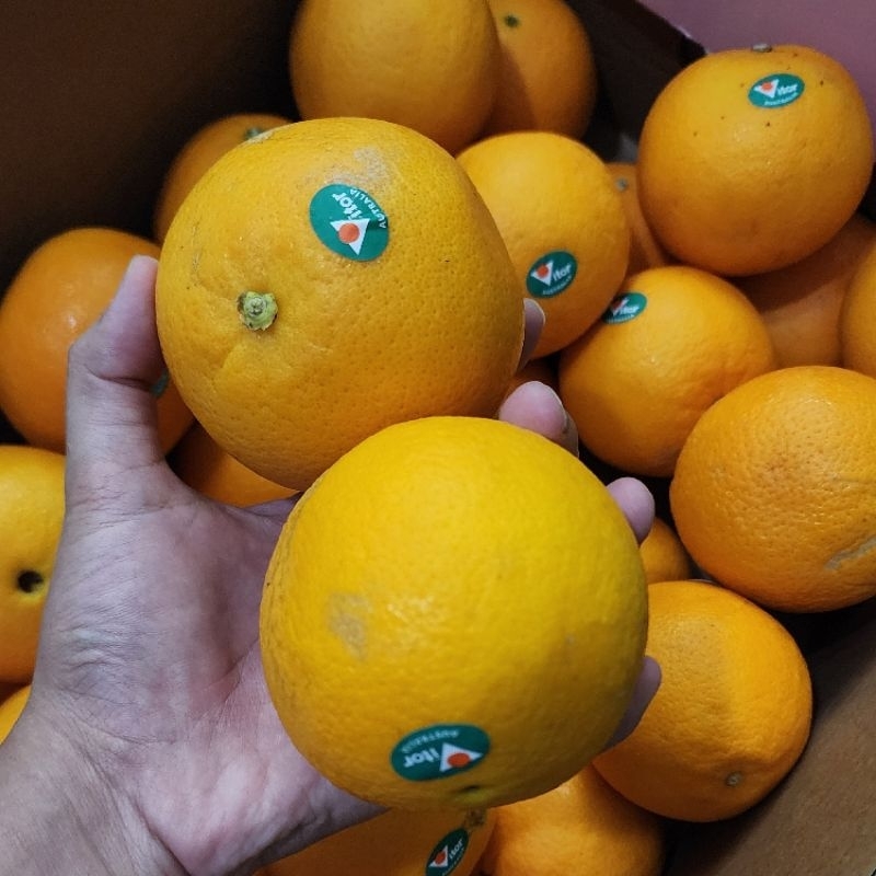 

Jeruk Sunkist Navel Australia