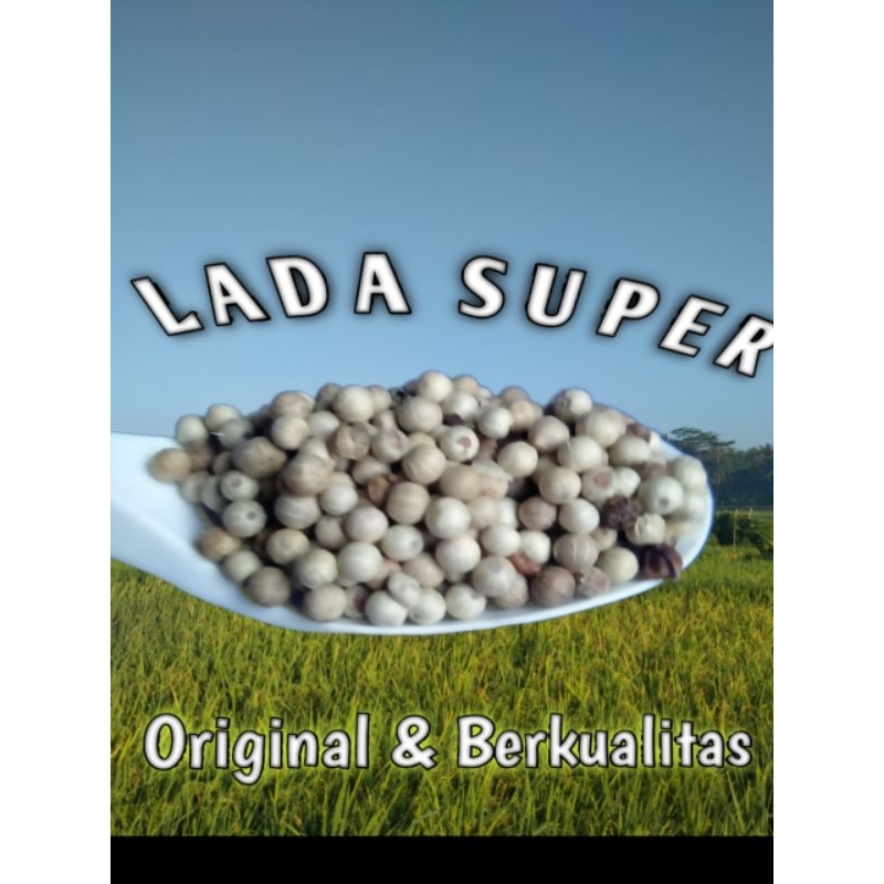 

Merica Butir/Lada Putih Bulat / Bumbu / 100 gram