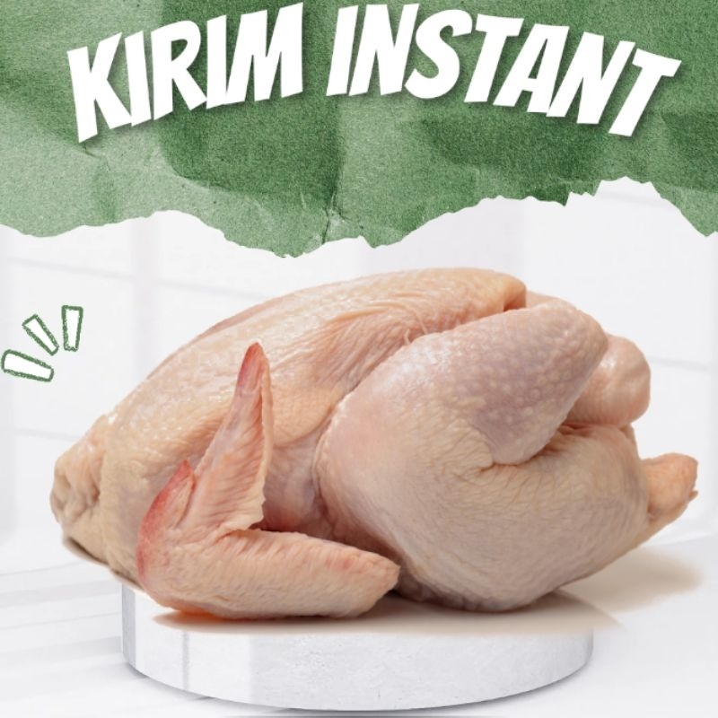 

ayam broiler fresh 1 ekor (±1kg)