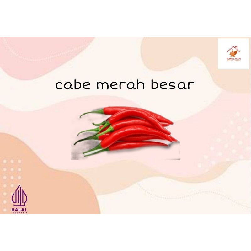 

CABE MERAH BESAR(500 GRAM)