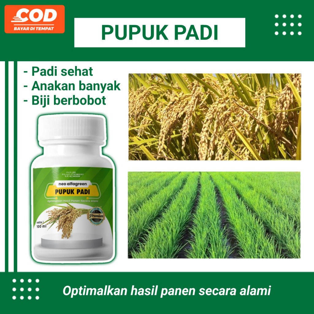 Shopritz Pupuk Pertumbuhan Padi Penambah Hasil Padi Booster Daun Dan Anakan Padi Pelebat Buah Dan
