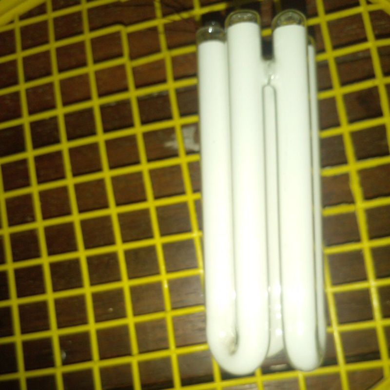 kaca lampu lhe 3u genie panjang triband gratis packing kayu +buble wrap