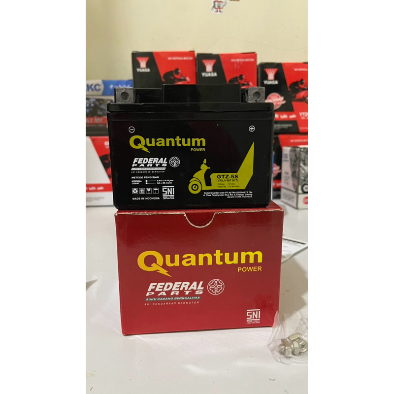 aki federal quantum GTZ5S