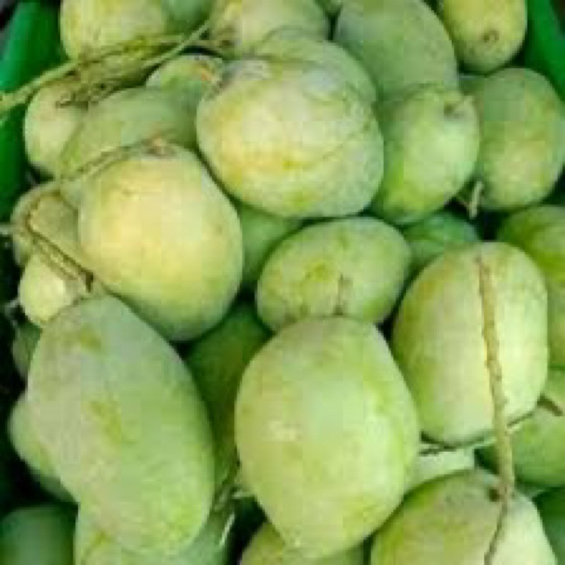 

MANGGA INDRAMAYU MENGKEL/RUJAK 1kg