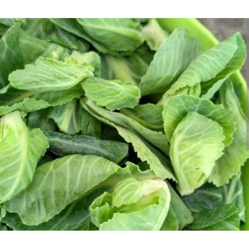 

Criwis/Cuciwis /Siwil /Brussel sprout (500gr)