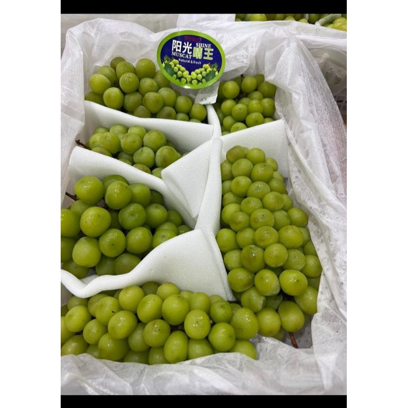 

Anggur Muscat Krat Curah Sweety juice Jual Per 1 Dus/BOK