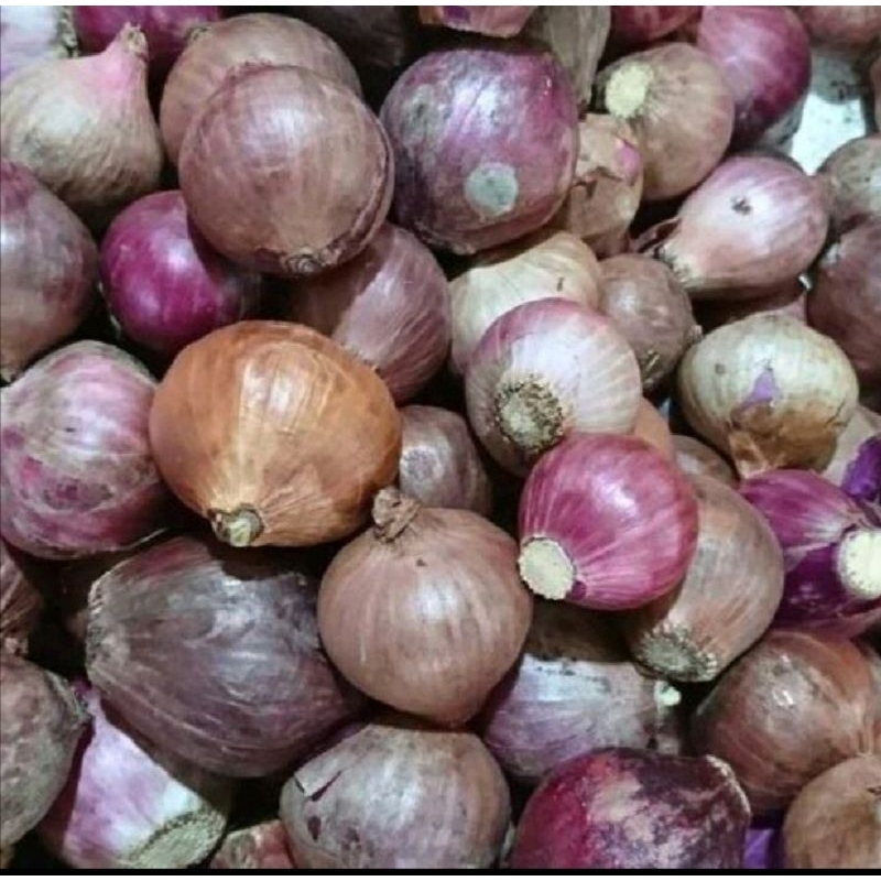 

BAWANG MERAH BIRMA 250 GR