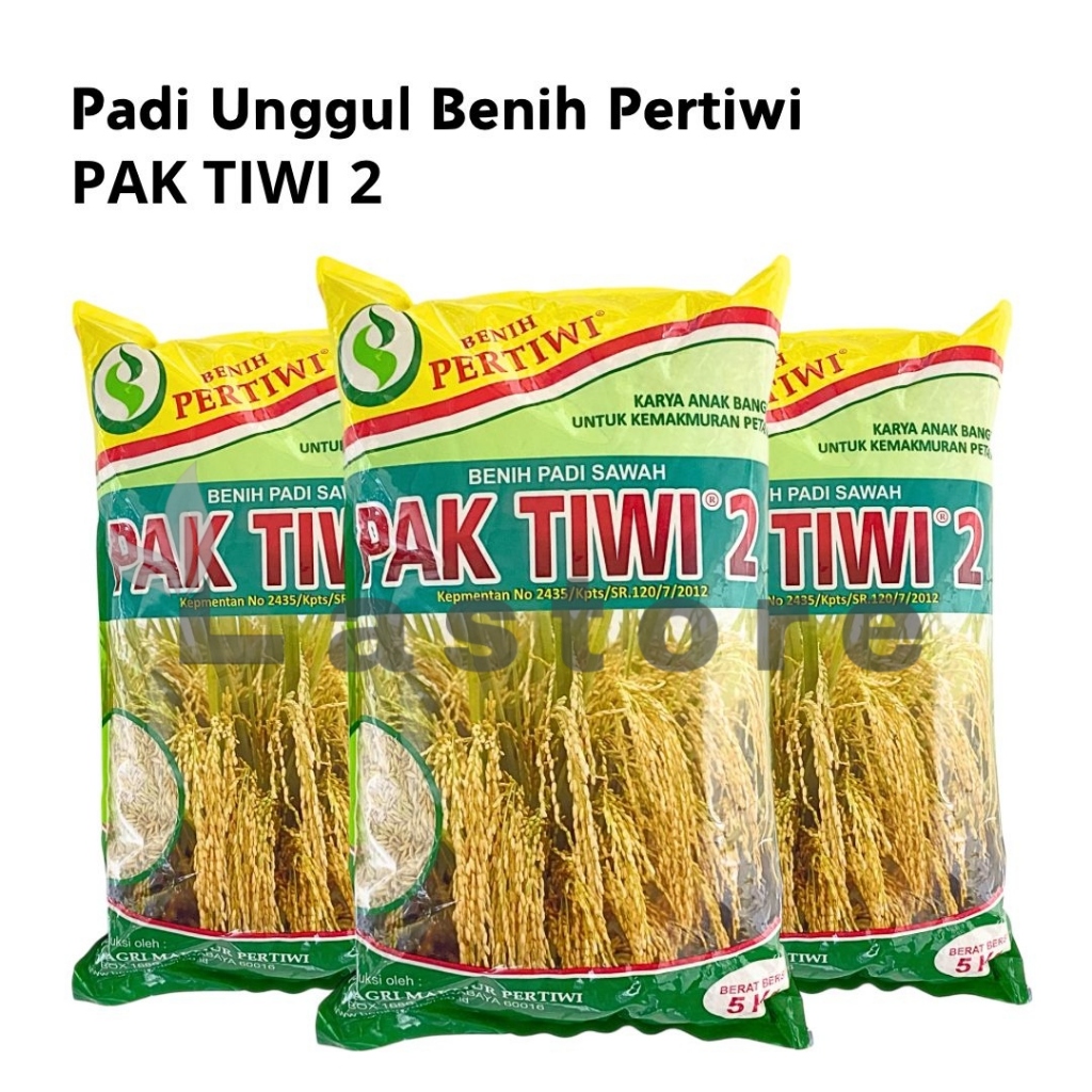 Benih Padi Sawah Unggul PAK TIWI 2 5 Kg Benih Pertiwi