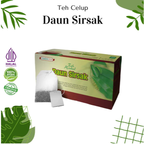 

TEH DAUN SIRSAK GRIYA HERBAL AMPUH OBATI DARAH TINGGI HIPERTENSI