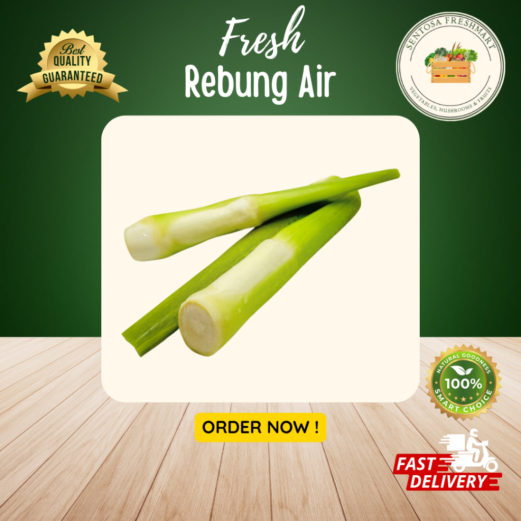 

[SENTOSA FRESHMART] REBUNG AIR / WATER BAMBOO SHOOT per PACK @400gr