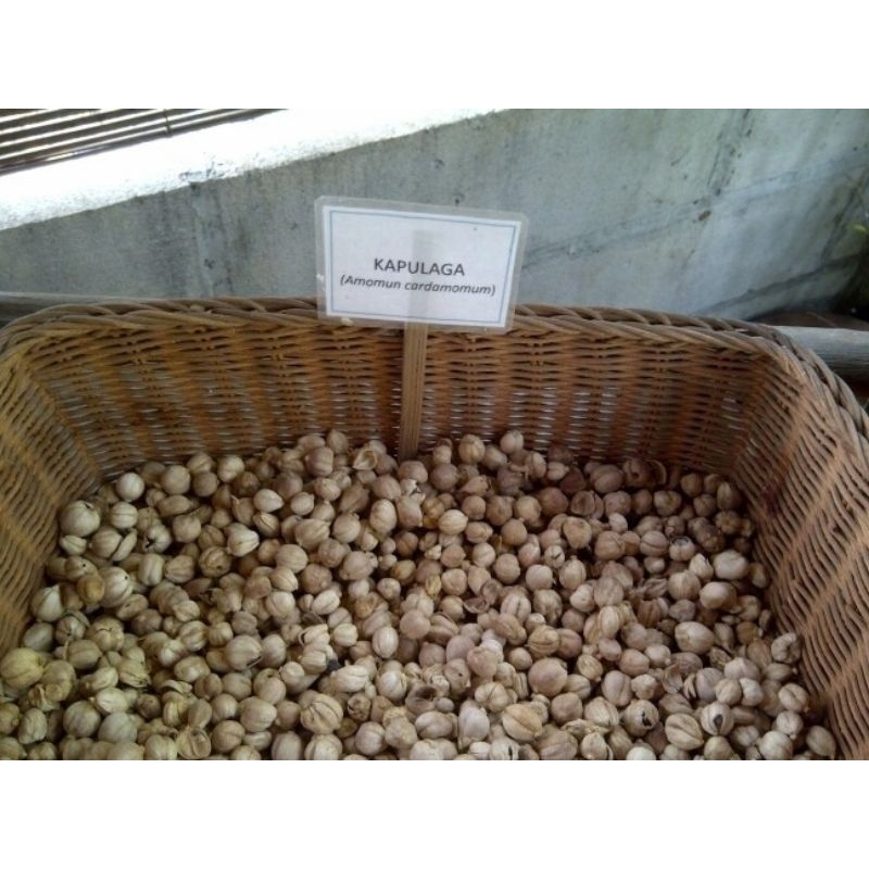 

KAPULAGA KERING FRESH MURAH 500grm