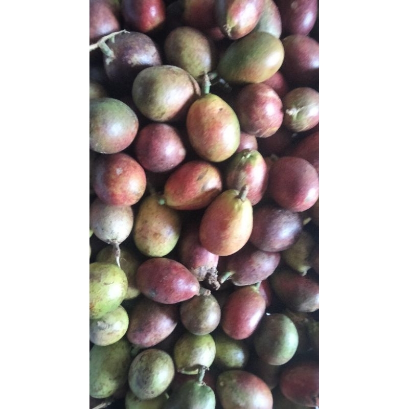 

2 kg buah matoa nyus daging tebal