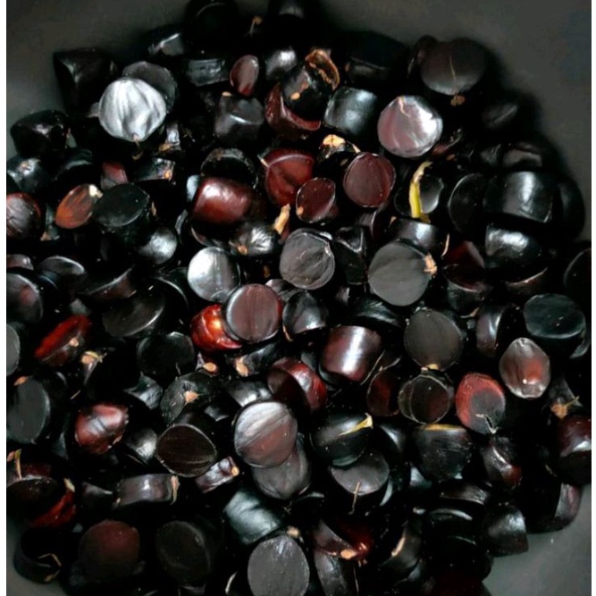 

Keren abis 500GR KABAU JOLANG JOLENG ASLI SUMATERA 500gr TUO SUPER PREMIUM