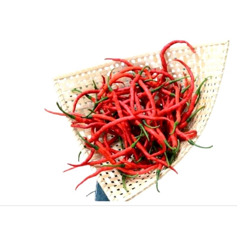 

Cabe Merah Keriting Segar