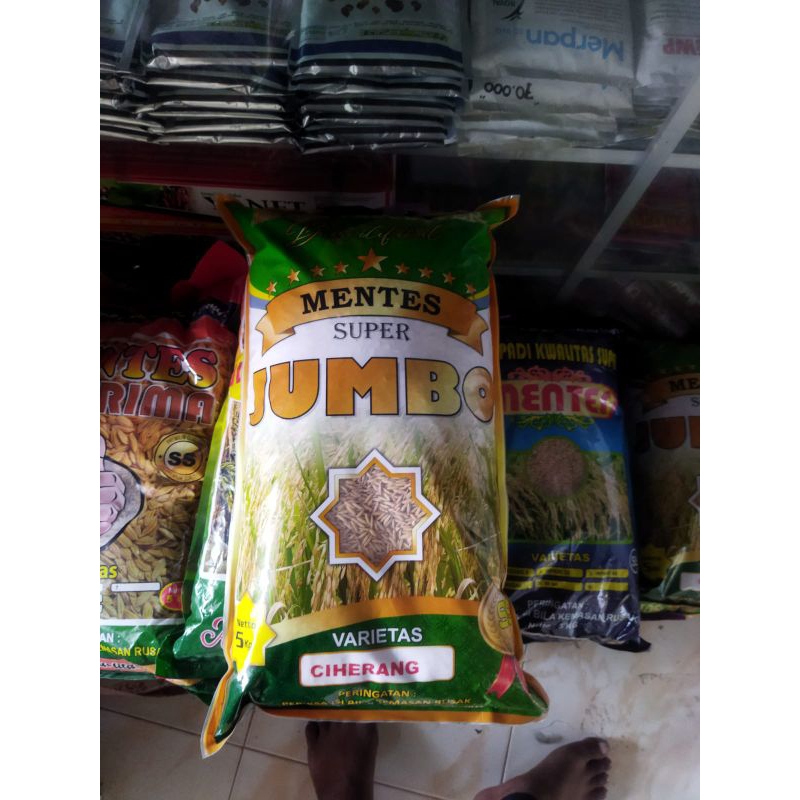 

bibit padi JUMBO ciherang