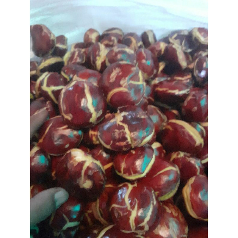 

JENGKOL TUA SUPER 1KG GEDE RATA