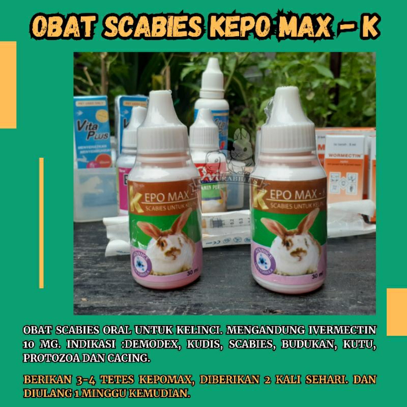 KEPO MAX K KELINCI - OBAT KELINCI KEPOMAX - OBAT KEPOMAX - OBAT SCABIES KEPOMAX - OBAT SCABIES KELIN