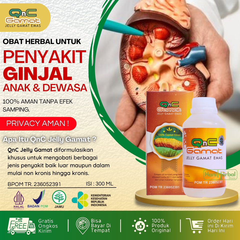 Obat Ginjal Bocor, Sindrom Nefrotik, Bocor Ginjal, Ginjal Bocor Pada Anak, Ginjal Bocor Pada Dewasa,