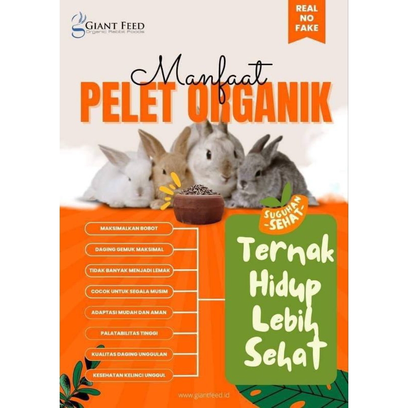 Pakan Kelinci Giant Feed