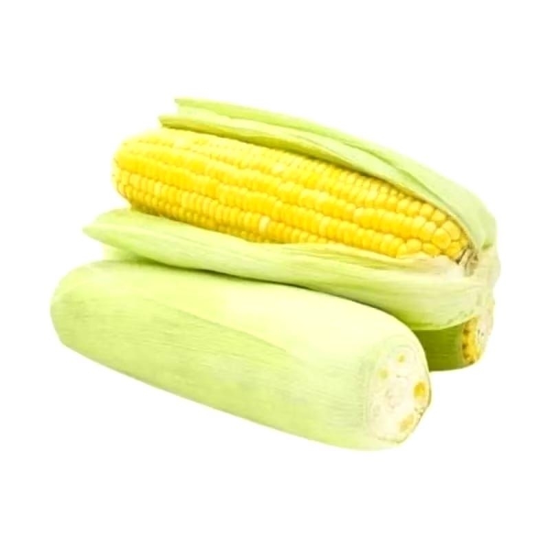 

PROMO !! 1Pcs Jagung Manis