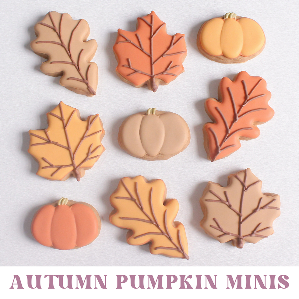 

Autumn Pumpkin MINIS — Sugar Cookies / Decorated Cookies / Kukis Hias