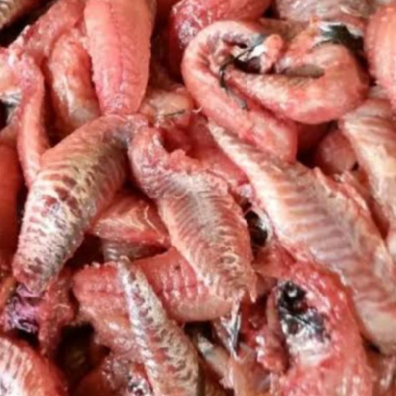 

DAGING IKAN SAPU SAPU