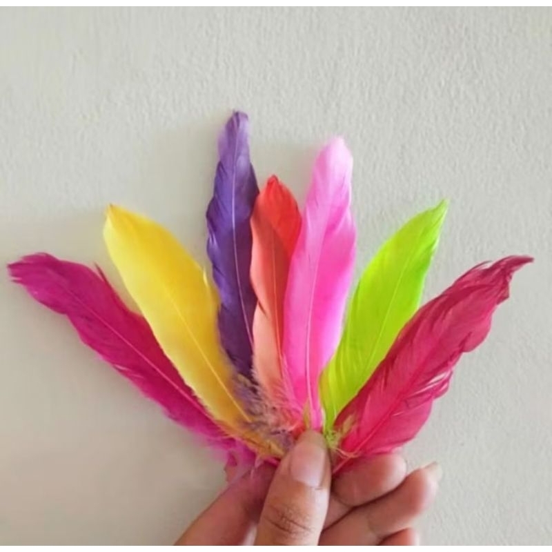 BULU AYAM / BULU BEBEK WARNA WARNI