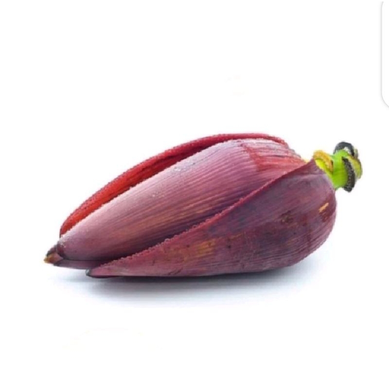 

Puri Segar Shop, Jantung Pisang 1 Buah