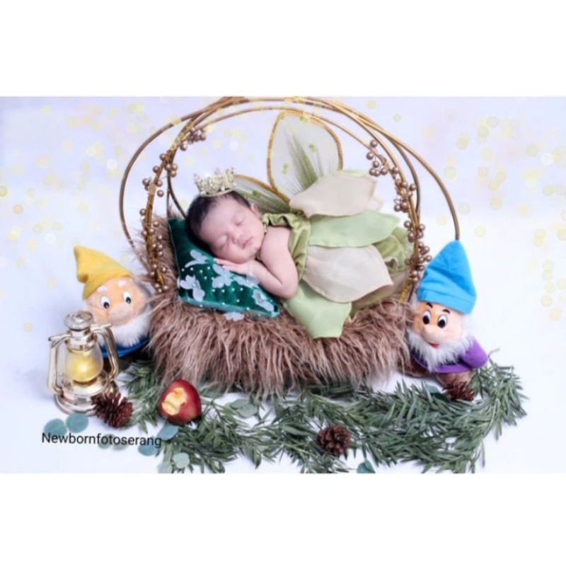 costum Tinkerbell full set dress + sayap Newborn properti foto bayi