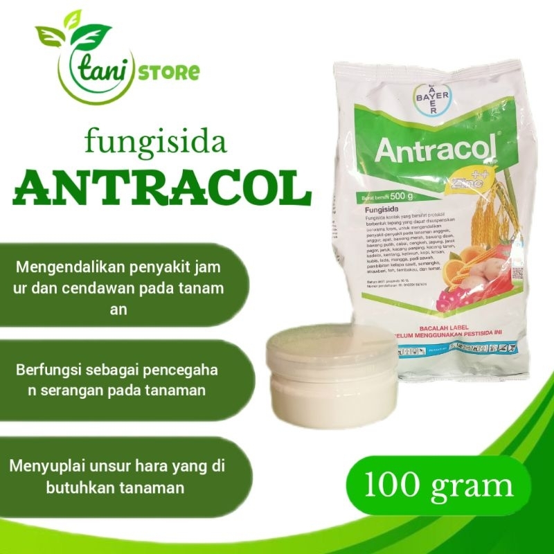 FUNGISIDA ANTRACOL 100 GRAM/50 liter