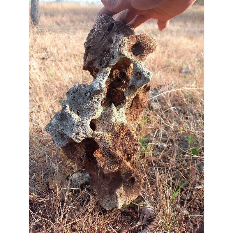 batu karang gunung bolong berkarakter