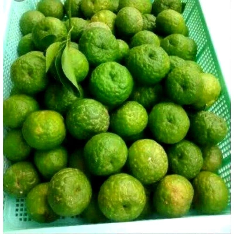 

Jeruk Limau / Jeruk Limo