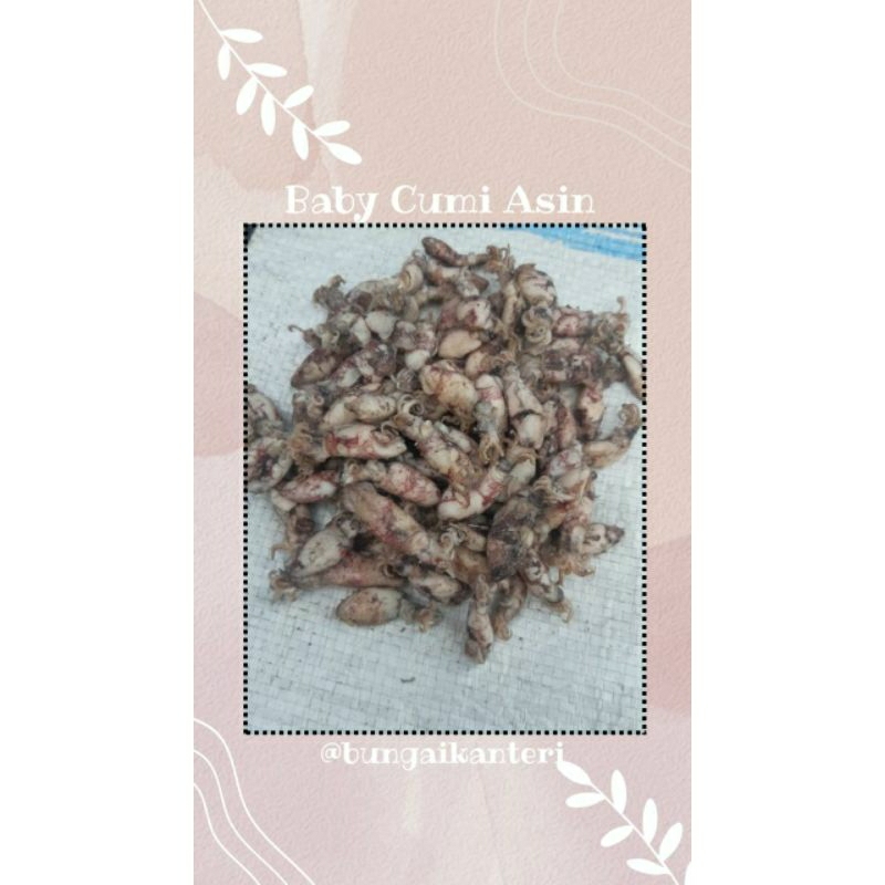 

BABY CUMI ASIN 1000 GRAM