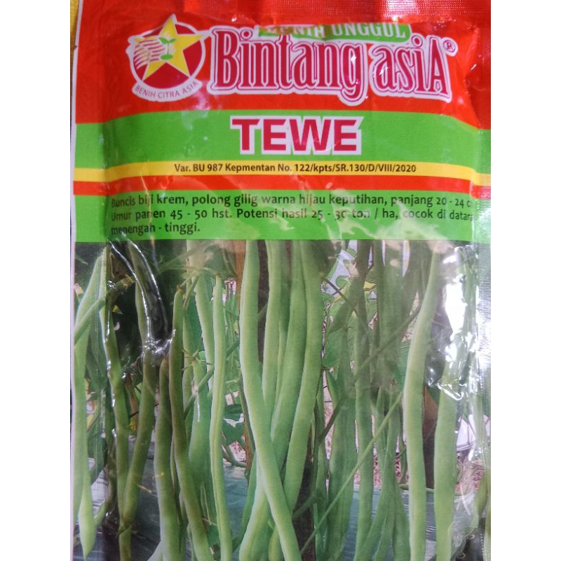 BENIH BUNCIS TEWE BINTANG ASIA 500GRAM