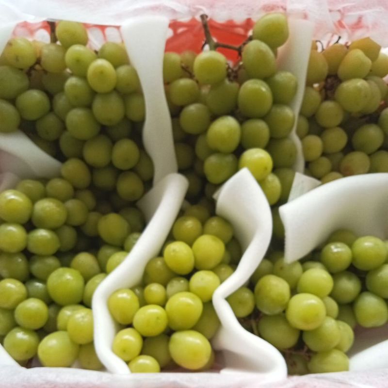 

Anggur Hijau 1Kg