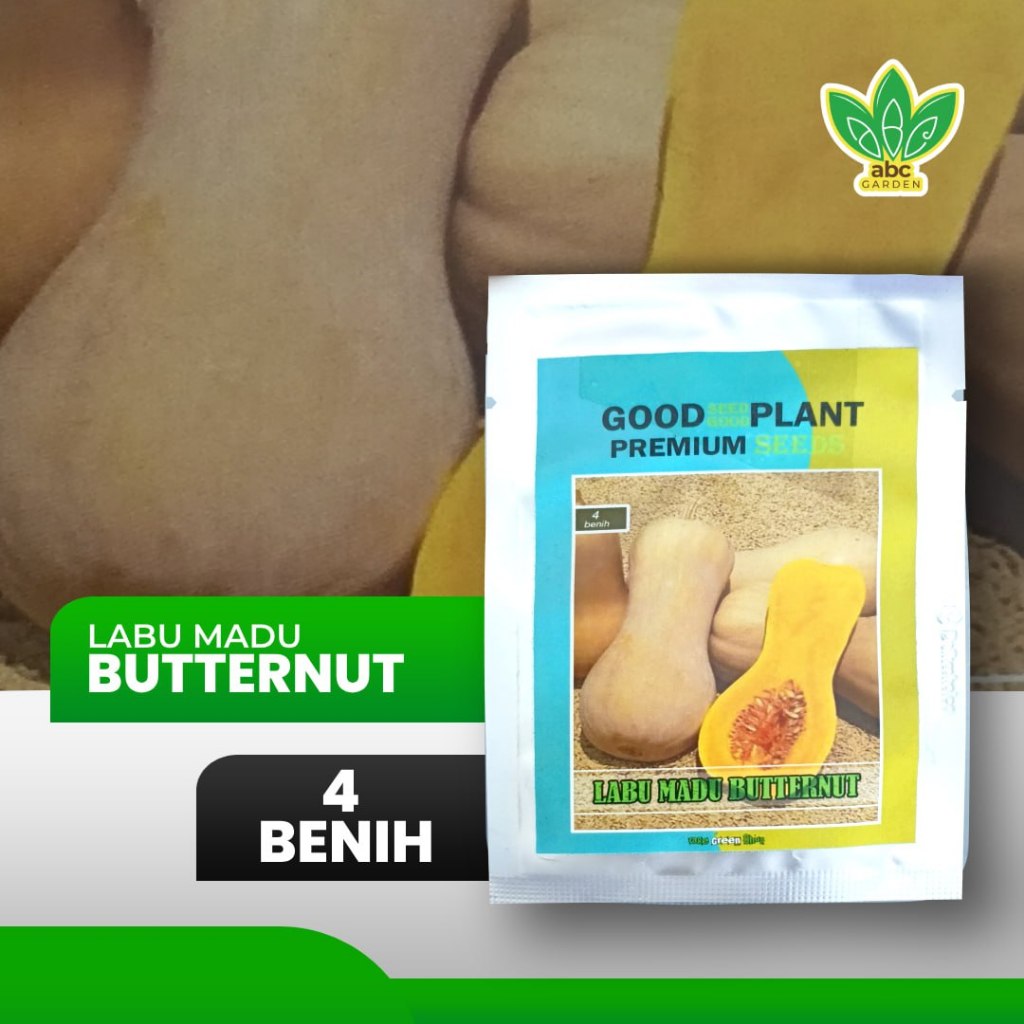 Benih Labu Madu Butternut F1 OGS 4