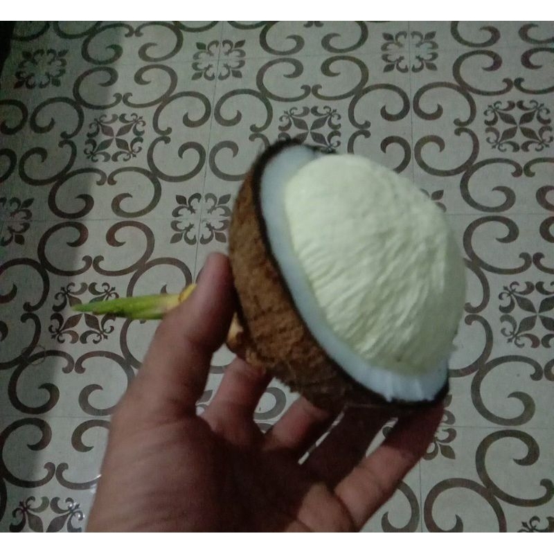 

kentos kelapa cangkangan 1 buah fresh