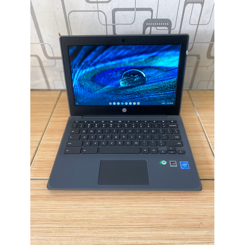 Laptop Hp Chromebook Ram 4gb