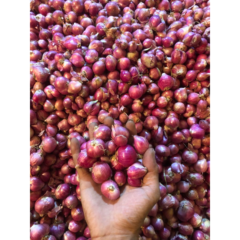 

Bawang Merah Ukuran Tanggung campur 1kg