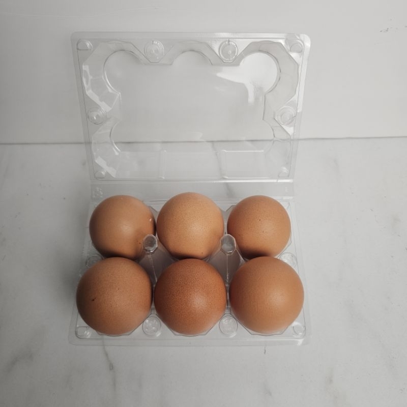 

KIRIM INSTAN TELUR AYAM NEGERI