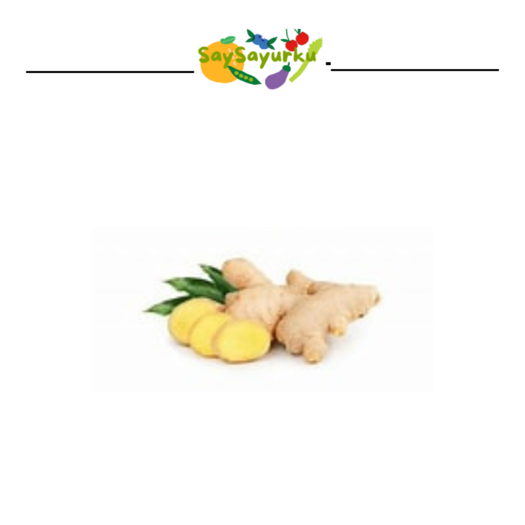 

JAHE FRESH REMPAH RESEP JSR 250 GR