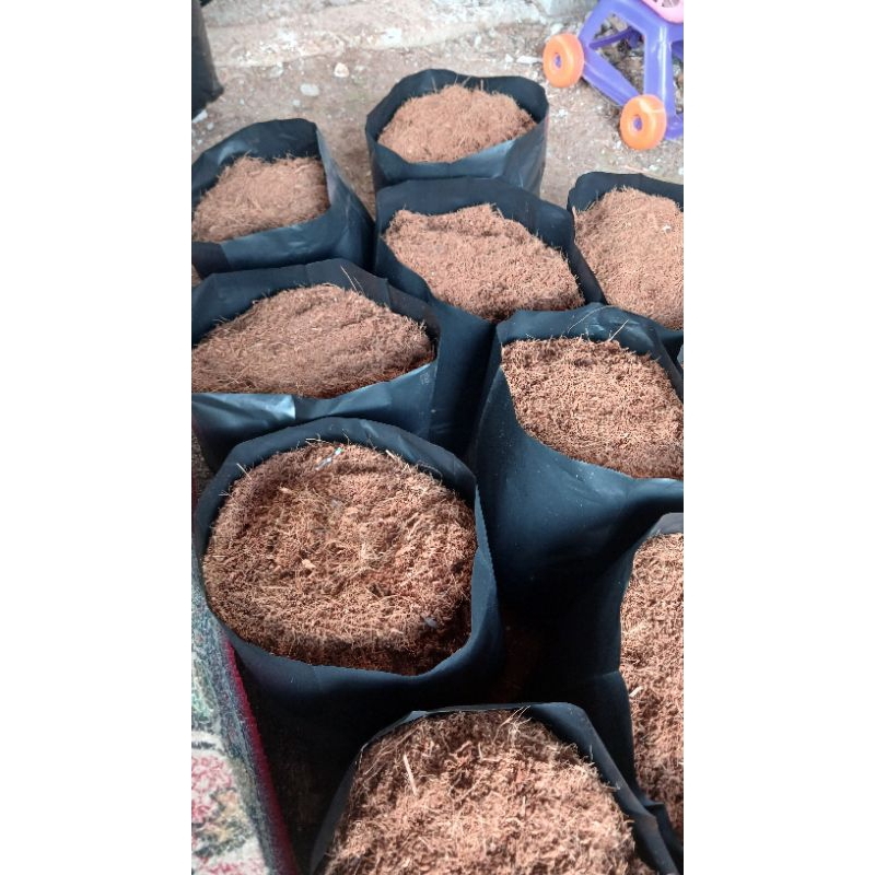 cocopeat 1 kg