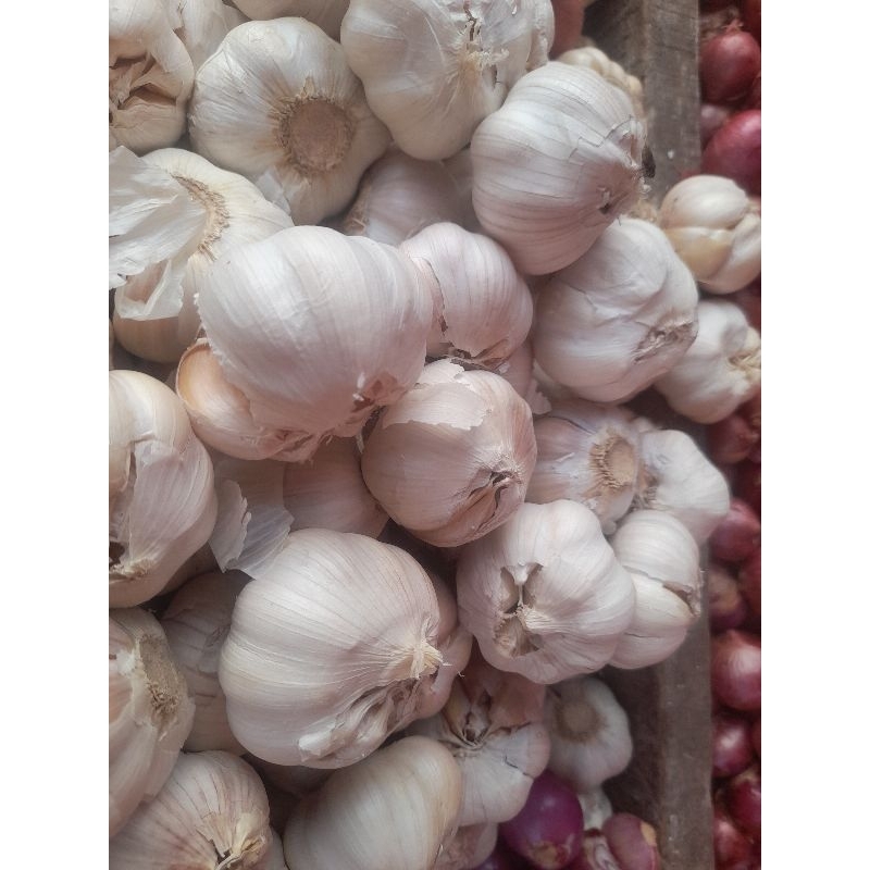 

Bawang putih 500gr