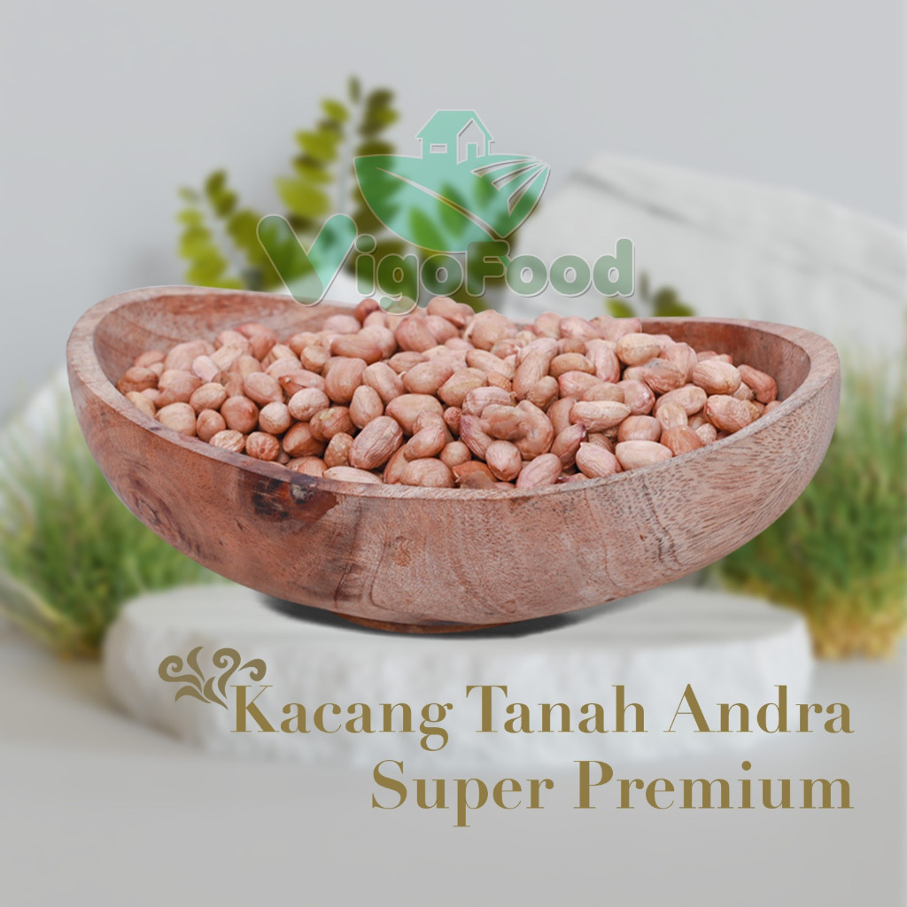 

100 GRAM KACANG TANAH ANDRA SUPER PREMIUM BY VIGOFOOD / PEANUTS