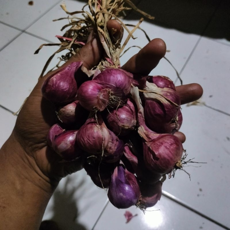

Bawang merah besar 500gr kualiatas terbaik (kecil sudah keluar)