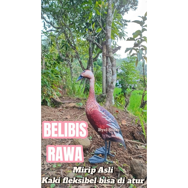 Jontrot Patung Belibis Rawa