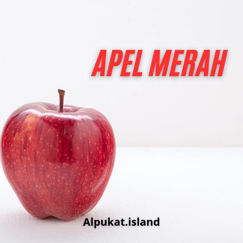 

apel merah 500gr